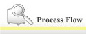 Go Process Flow